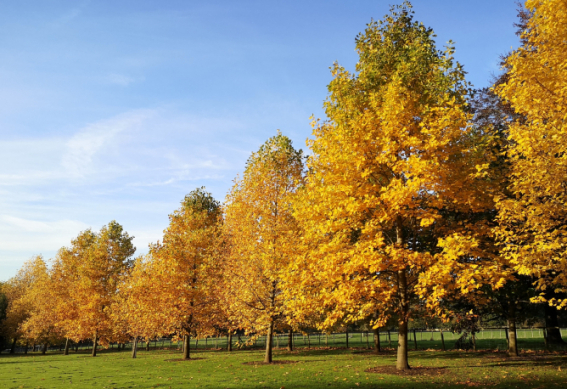 American Arboretum - Smiths Hall