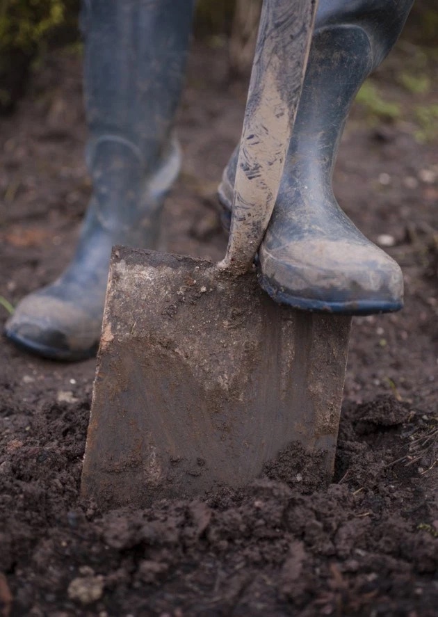 Winter digging