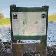 Quarry Wood Nature Reserve